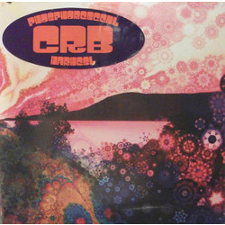 The Chris Robinson Brotherhood Phosphorescent Harvest Vinyl 2 LP
