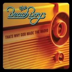 The Beach Boys That's Why God Made The Radio Vinyl LP