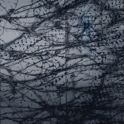 Human Rays A Tension Vinyl LP