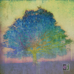 Eric Johnson (2) EJ Vinyl LP