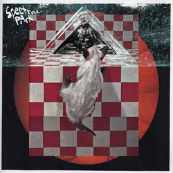Spectral Park Spectral Park Vinyl LP