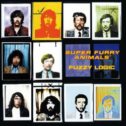 Super Furry Animals Fuzzy Logic -Deluxe- vinyl LP