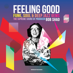Bob Shad Feeling Good (Funk, Soul & Deep Jazz Gems: The Supreme Sound Of Producer Bob Shad) Vinyl 2 LP