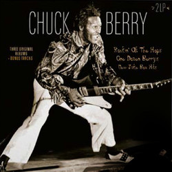 Chuck Berry Rockin' At The Hops / One Dozen Berrys / New Juke Box Hits Vinyl 2 LP