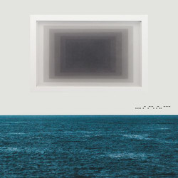Twin Limb Haplo Vinyl LP