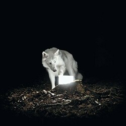Vanishing Life Surveillance Vinyl LP