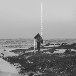 Abstraxion She Thought She Would Last Forever Remixed Vinyl 2 LP