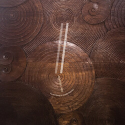 Eyvind Kang / Jessika Kenney Reverse Tree Vinyl LP