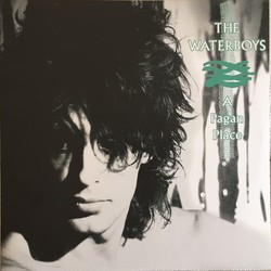 The Waterboys A Pagan Place Vinyl LP
