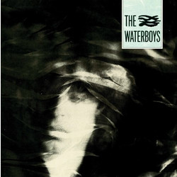 The Waterboys The Waterboys Vinyl LP