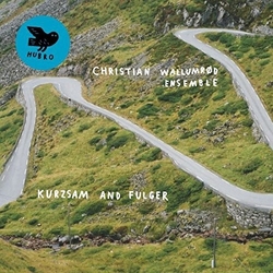 Christian Wallumrød Ensemble Kurzsam And Fulger Vinyl LP
