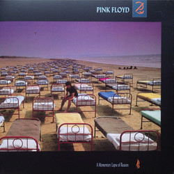 Pink Floyd A Momentary Lapse Of Reason Vinyl LP