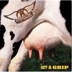 Aerosmith Get A Grip Vinyl 2 LP