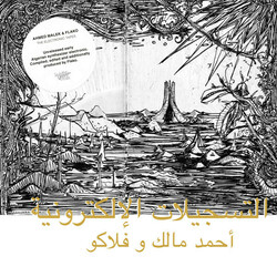 Ahmed Malek / Flako / Ahmed Malek / Flako التسجيلات الإلكترونية = The Electronic Tapes Vinyl LP