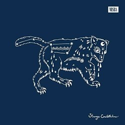 William Matheny Strange Constellations Spinning Stories About Roach-Infested Apartments Vinyl LP