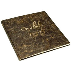 Osunlade Pyrography Vinyl 2 LP