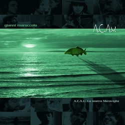 Gianni Maroccolo A.C.A.U. - La Nostra .. Nostra Meraviglia / 2Lp+2Cd In Deluxe Gatefold Vinyl LP