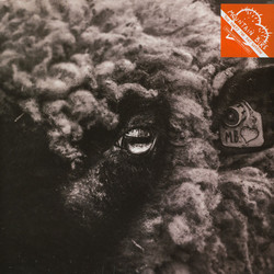 Mountain Bike Too Sorry For Any Sorrow Vinyl LP