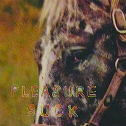 The Spirit Of The Beehive Pleasure Suck Vinyl LP