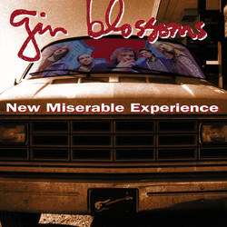 Gin Blossoms New Miserable Experience Vinyl LP
