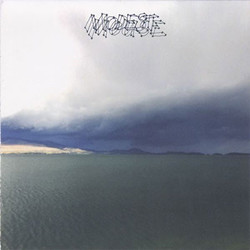 Modest Mouse The Fruit That Ate Itself Vinyl LP