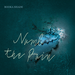 Booka Shade Numb The Pain Vinyl LP