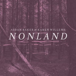 Aidan Baker / Karen Willems Nonland Vinyl LP