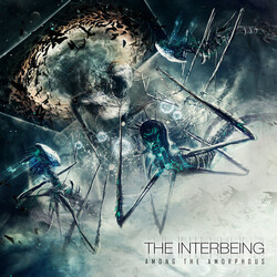 The Interbeing Among The Amorphous Vinyl LP
