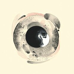 Shayne Carter Offsider Vinyl LP