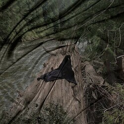 D33J Gravel Remixed Vinyl LP