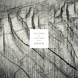 Tom Hobden / Eliot James Present Roam Vinyl LP