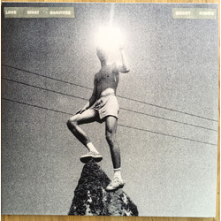 Mount Kimbie Love What Survives Vinyl 2 LP