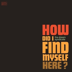 The Dream Syndicate How Did I Find Myself Here? Vinyl LP