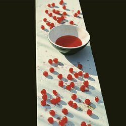 Paul McCartney McCartney Vinyl LP
