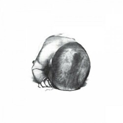 Liquid Idiot / The Idiot Orchestra Liquid Idiot / Idiot Orchestra Vinyl LP