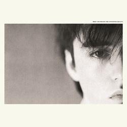 Felt Crumbling The Antiseptic Beauty Vinyl LP