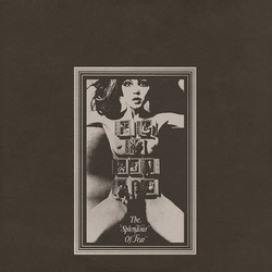 Felt The Splendour Of Fear Vinyl LP