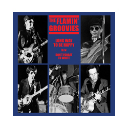 The Flamin' Groovies Long Way To Be Happy b/w Don't Forget To Write Vinyl LP