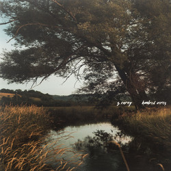 S. Carey Hundred Acres  vinyl LP