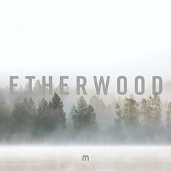 Etherwood In Stillness Vinyl LP