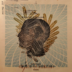 The Third Eye Foundation Wake the Dead Vinyl LP