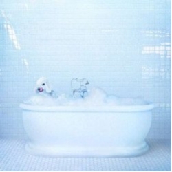 Frankie Cosmos Vessel -Coloured- Loser Edition - Translucent Blue Vinyl LP