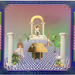 Jonathan Wilson Rare Birds Vinyl LP