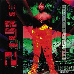 2Pac Strictly 4 My N.I.G.G.A.Z... Vinyl 2 LP