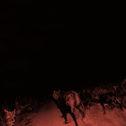 Bambara (2) Shadow On Everything Vinyl LP