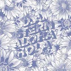 Stern D.A. Aloha Hola -Download- Vinyl LP