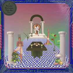 Jonathan Wilson Rare Birds Vinyl 2 LP