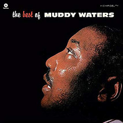 Muddy Waters The Best Of Muddy Waters Vinyl LP