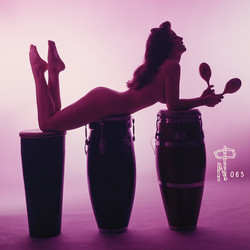 Various Technicolor Paradise: Rhum Rhapsodies & Other Exotic Delights Vinyl LP