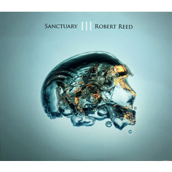 Rob Reed Sanctuary III Vinyl LP
